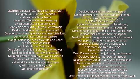 Geruststellingen bij