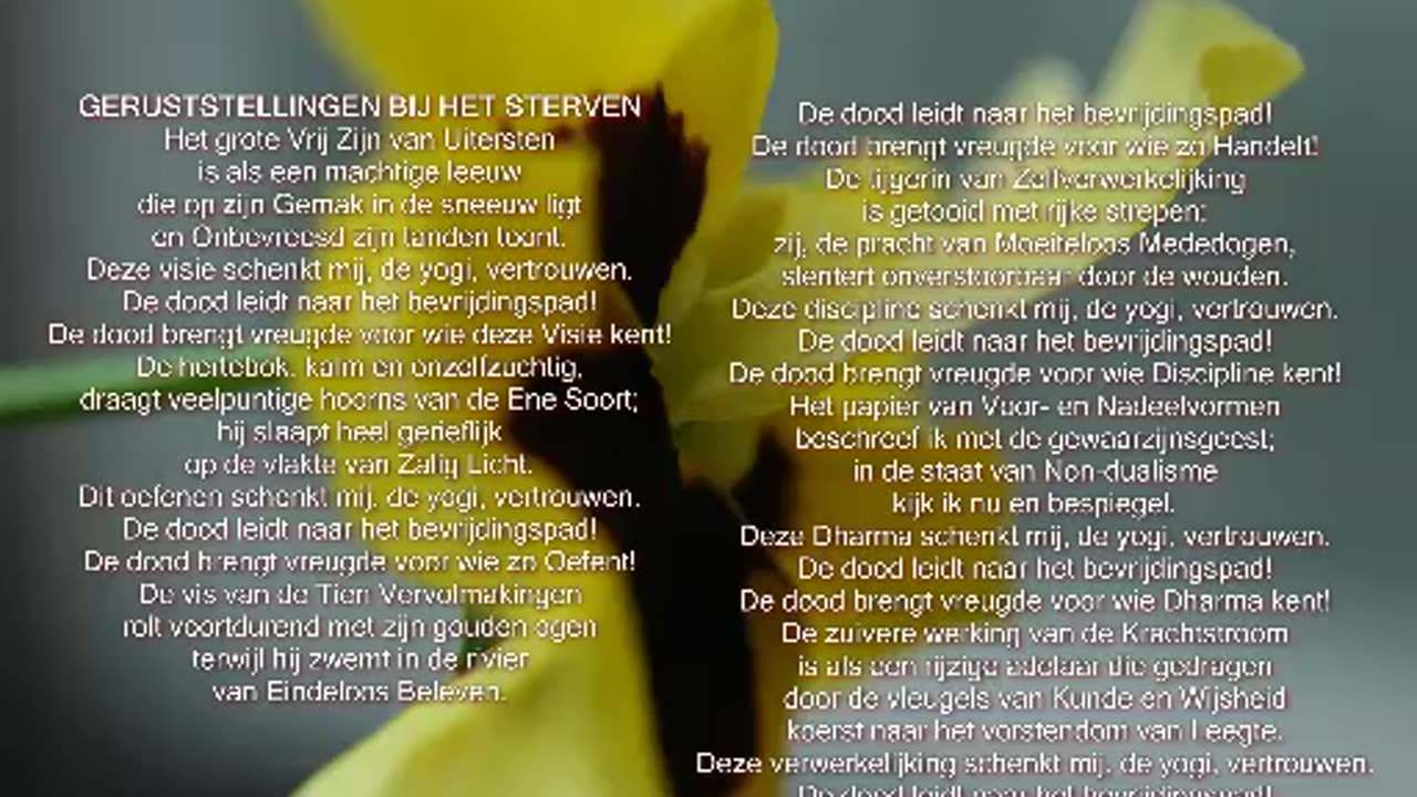 Geruststellingen bij