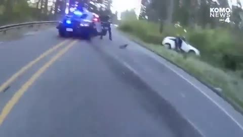 DUI suspect tries to take female deputy's gun after car accident in Washington state