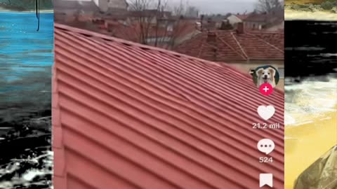 Just shorts videos - Follow 😜😋!!!!!!!