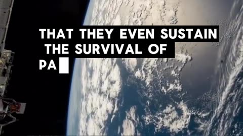 🚨The microplastic threat to emerging life!