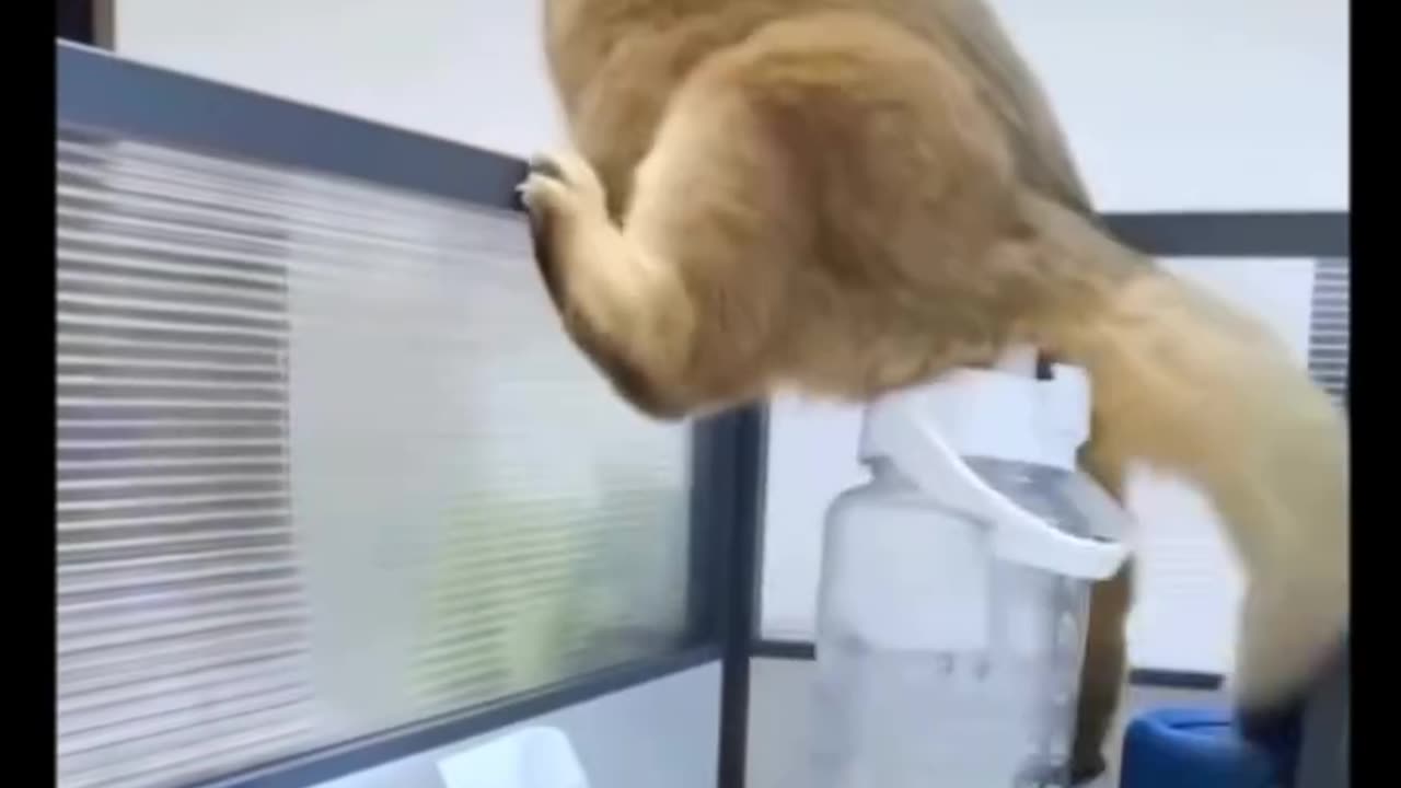 It went in too deep