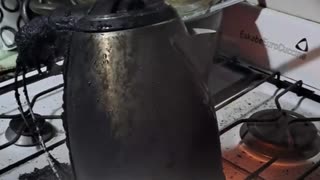 Confundió la tetera eléctrica y la puso sobre el fuego