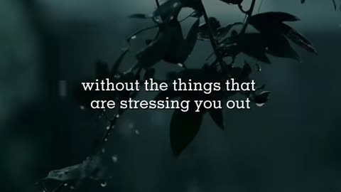 🙏📖 Praise & Prayer | Glorify God Through Jesus | InGodWeTrustDaily