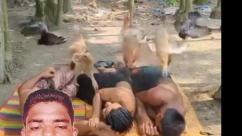 Comedy funny video #FunnyVideo #Comedy #Laugh Out Loud #ViralVideo #Humor #Memes