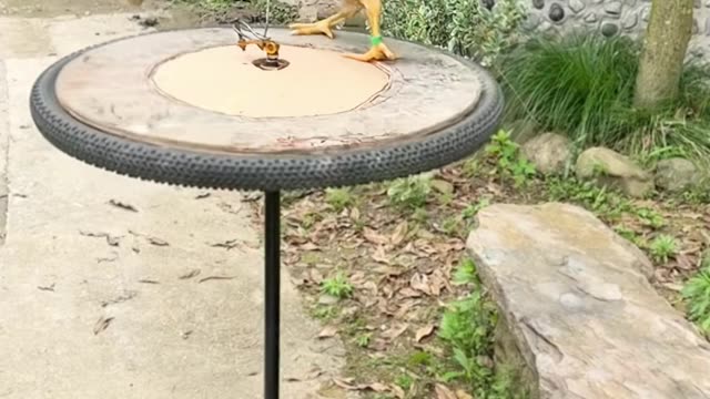 💡👍 A Simple Trick That Changes Everything! | LifeHacksDaily