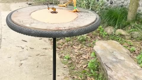 💡👍 A Simple Trick That Changes Everything! | LifeHacksDaily