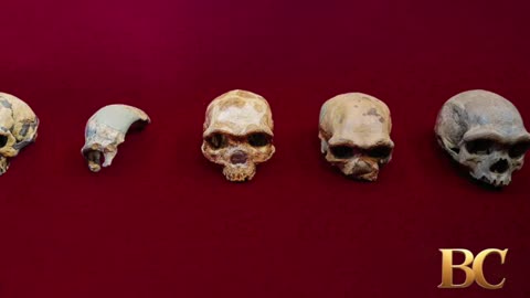 ‘Dragon Man’ DNA revelation puts a face to a mysterious group of ancient humans