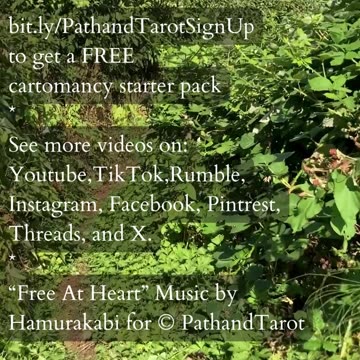 Clarify And Flow With Balance | Path and Tarot Reading