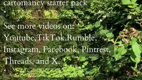 Clarify And Flow With Balance | Path and Tarot Reading