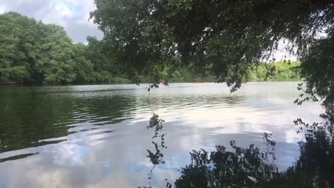 Beside quiet lake, it refreshes my soul.