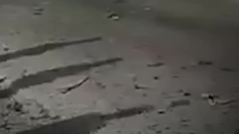 Pakistan Suicide Car Bomb Hits School Bus in Balochistan, Kills At Least 5 N18G