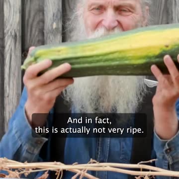 How Do You Know When Your Garden Seeds Are Mature Enough To Save For Next Year?