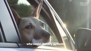 Edgar Cayce’s PROPHECY About Dogs Is HAPPENING NOW