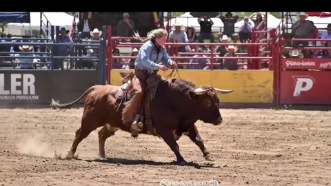 HasenChat Music - Rodeo