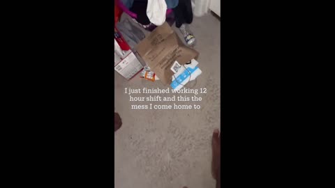Daddy Goat 24/7 - Out Of Context Memes & Videos