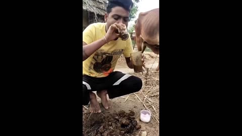 Daddy Goat 24/7 - Out Of Context Memes & Videos