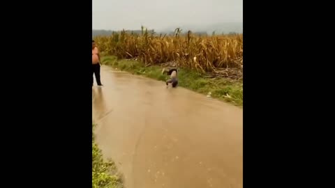 Daddy Goat 24/7 - Out Of Context Memes & Videos