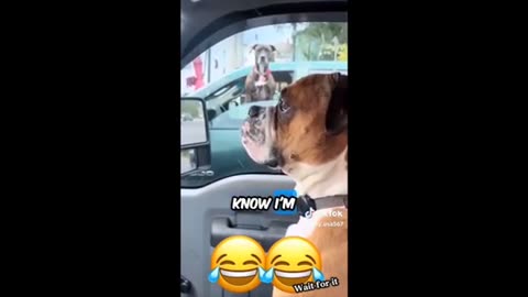 Need a laugh here and there ;)