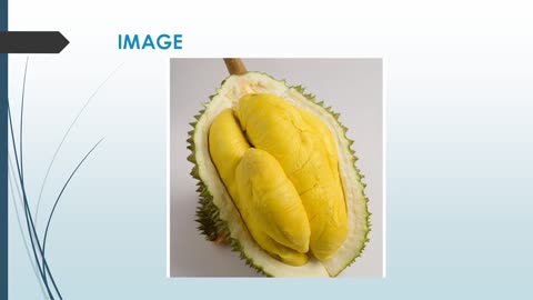 Best Mao Shan Wang in Toa Payoh