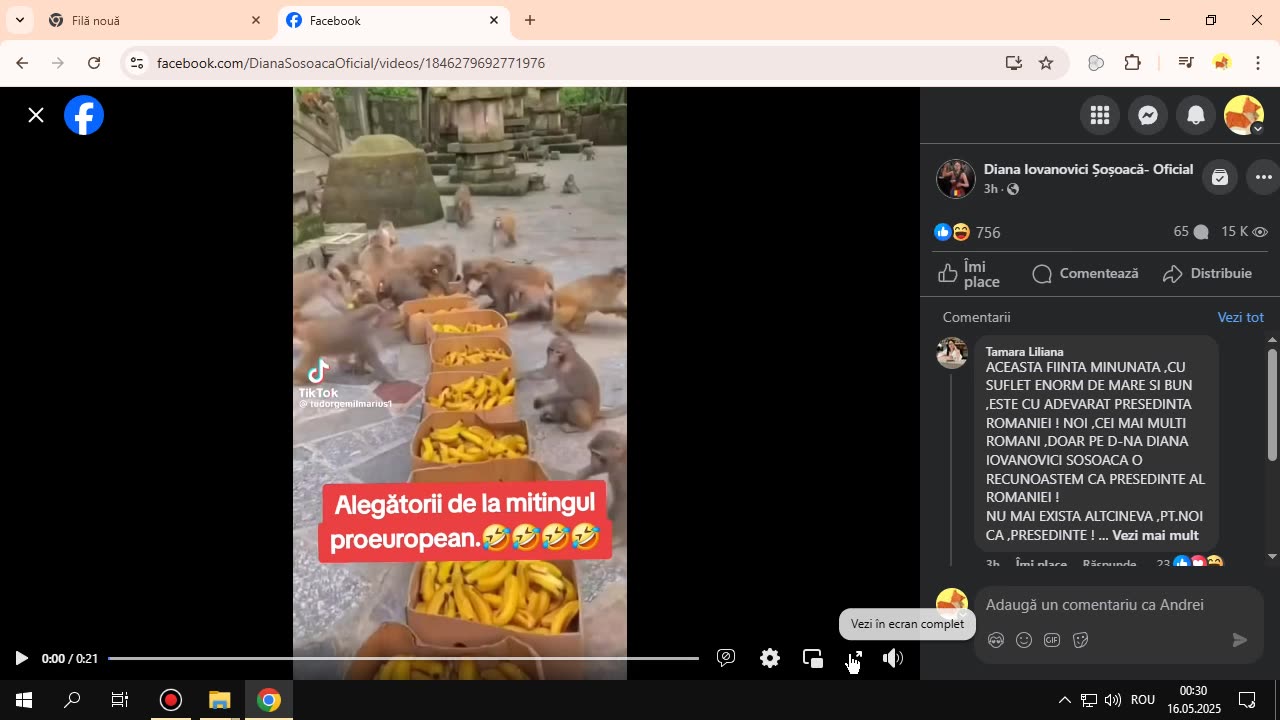 DIS--- - 15 mai 2025 - Vizualizarea paginii