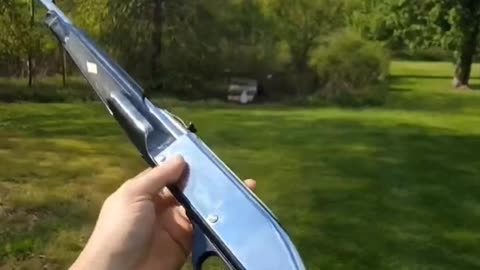 Remington Nylon 66