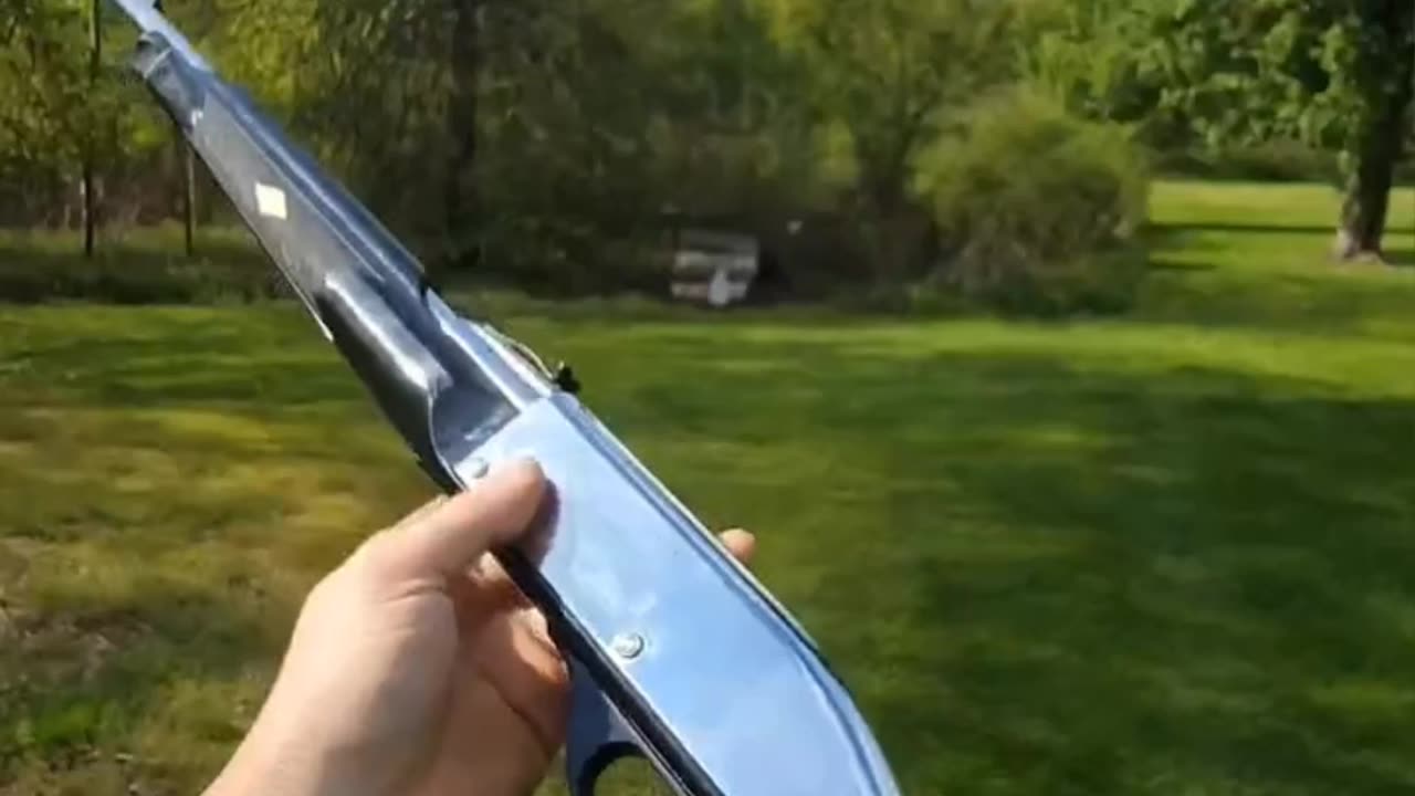Remington Nylon 66