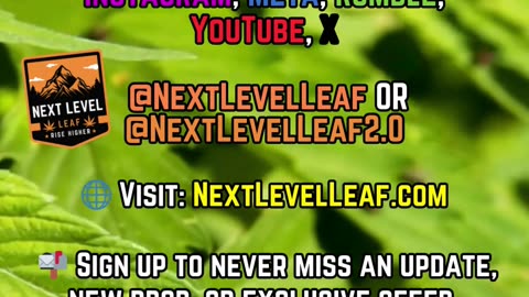 Don’t Lose Access — Stay Connected with Next Level Leaf #thcahemp #thcareview #hempflower #legalthc