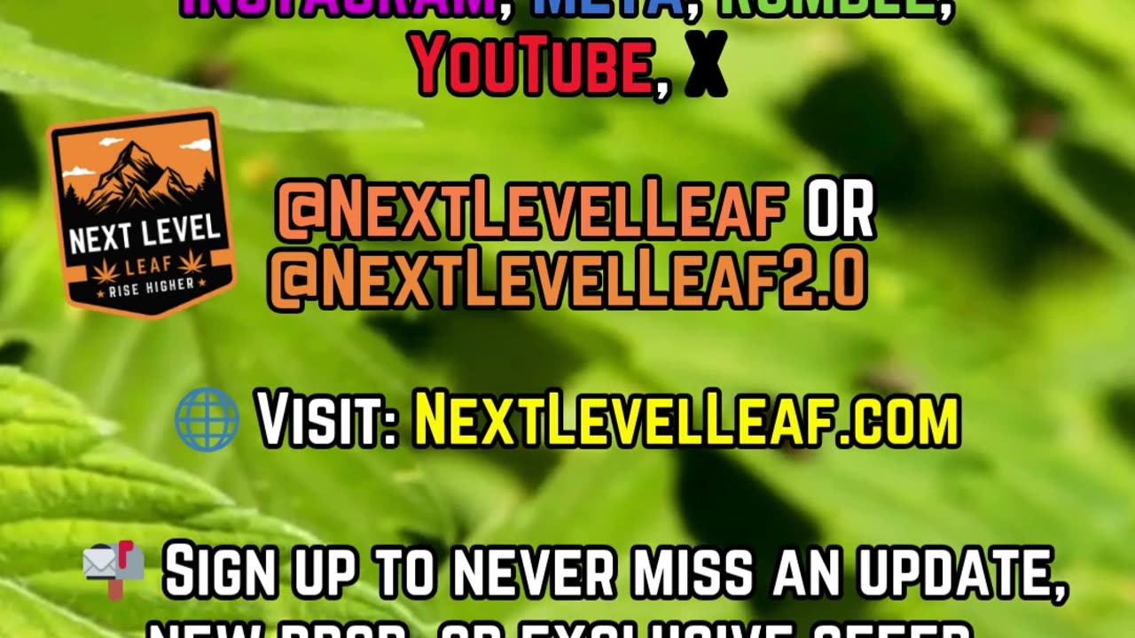 Don’t Lose Access — Stay Connected with Next Level Leaf #thcahemp #thcareview #hempflower #legalthc