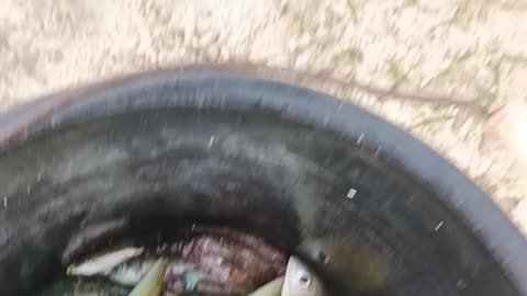 fishing