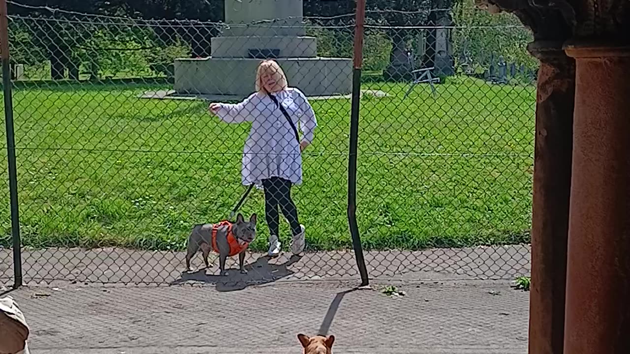 An angel flapping her wings