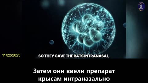 【RU】Исследования показывают, что ивермектин может безопасно уменьшать опухоли головного мозга...
