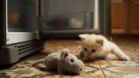 Curious Kitten Opens the Fridge – AI Video With a Funny Twist!