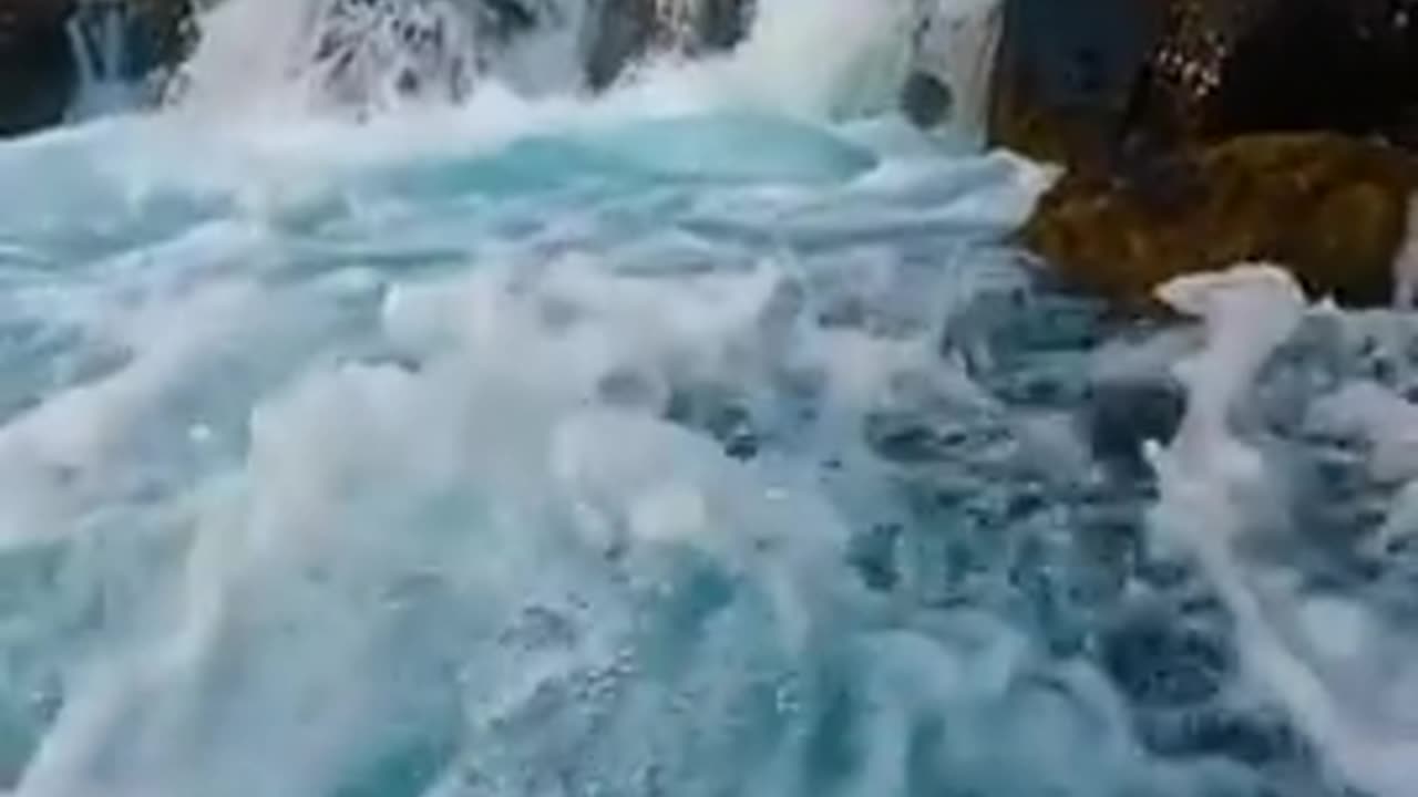 A Natural Spring to Make Your Day