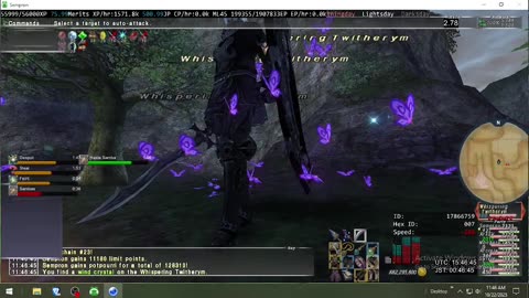 Playing Final Fantasy XI Online
