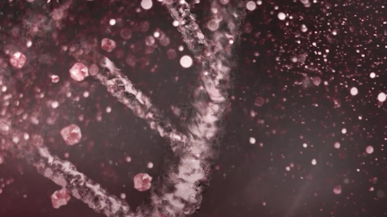 Detoxing isn’t a fad. It’s biology.