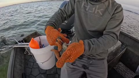 14 Days Hunting, Fishing & Crabbing Florida_part11
