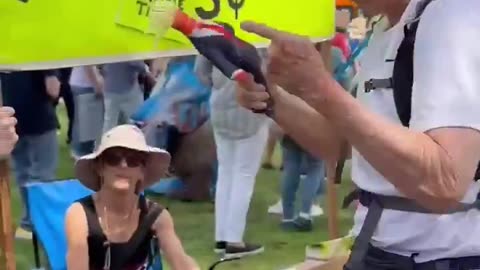 Liberals pay to beat and yell at Trump doll. TDS, unhinged crazy cult!
