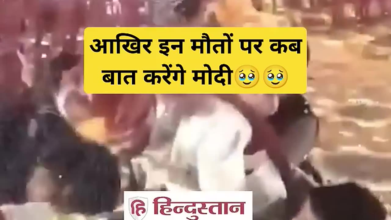 Today news in Hindi Bharat Jodo Yatra Rahul Gandhi news