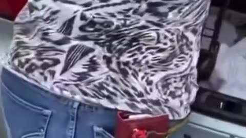 Puppies Sold Out of Trunk