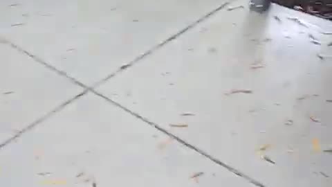 Michael Tokars is in HELL. Until the Second Coming! #warning #viral #truth