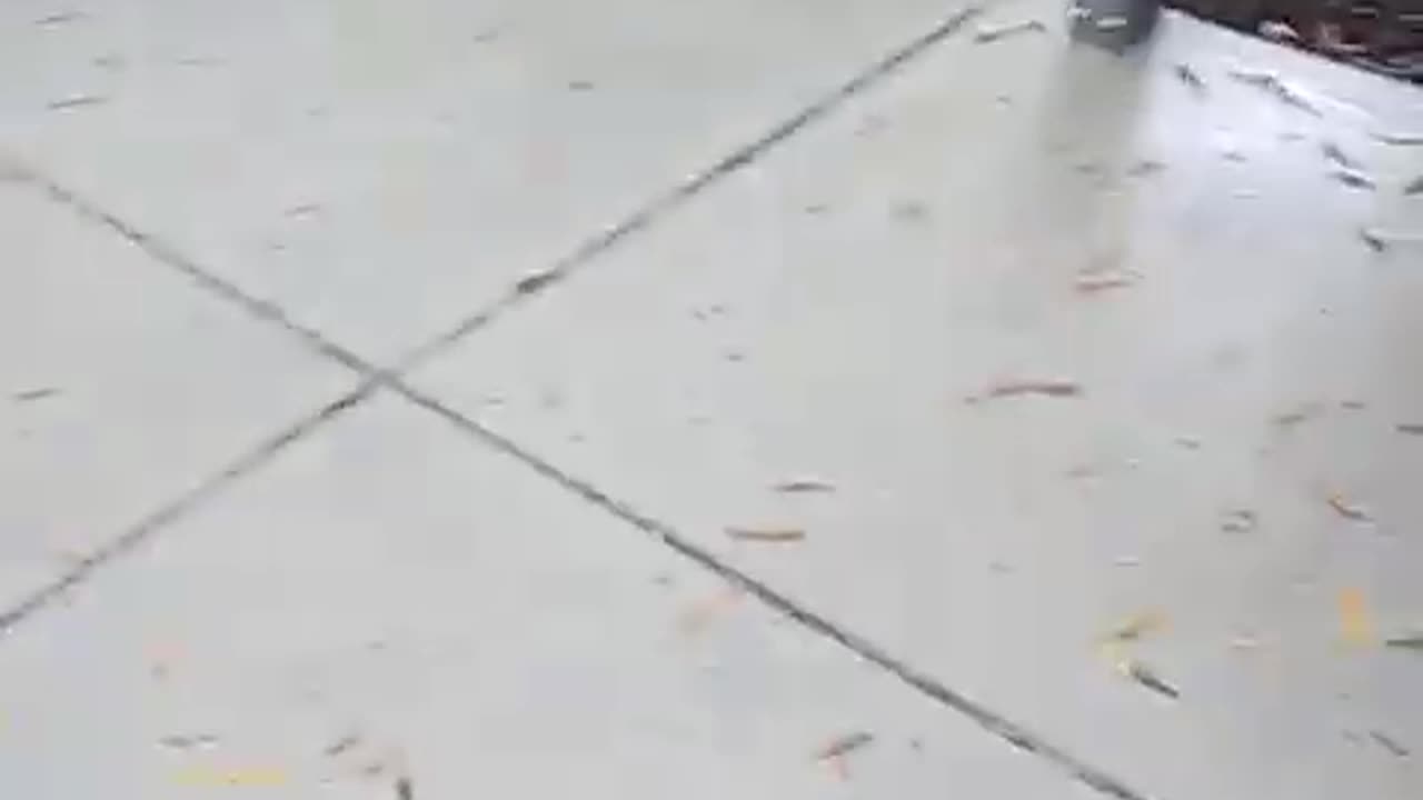 Michael Tokars is in HELL. Until the Second Coming! #warning #viral #truth