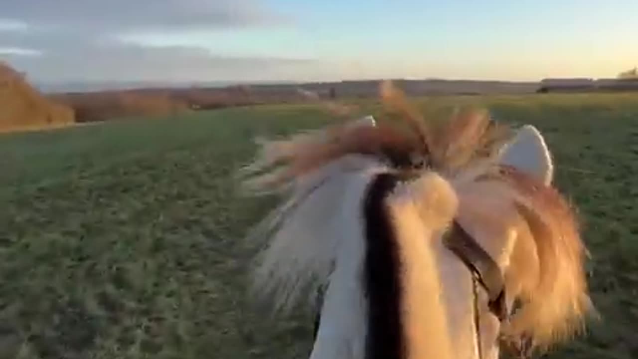 Riding