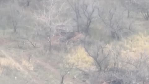 Ukrainian drone dropped munitions and artillery results in multiple Russian KIA. Eastern Ukraine