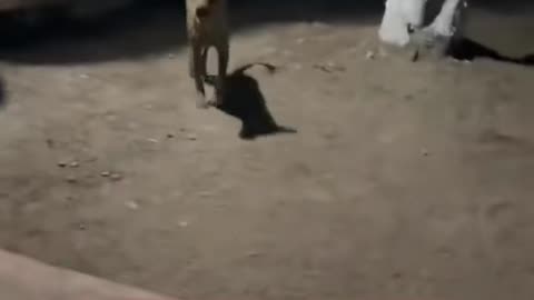 😨👻 How? Unexplained Phenomenon Caught on Camera | TheHauntingHour