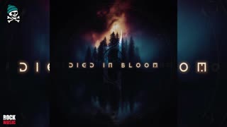 Catharsis RVA - Died In Bloom (2025)