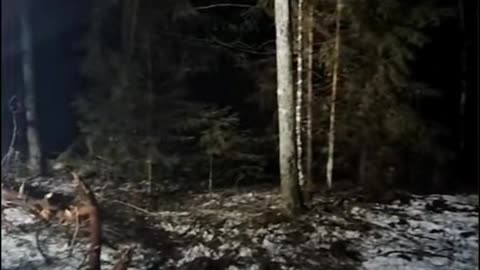 😱👽 Creature Encounter: The Scariest Footage Ever Recorded! | TheHauntingHour