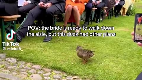 😂👰 You Won't Believe This Bride's Unexpected Look! | FunFM