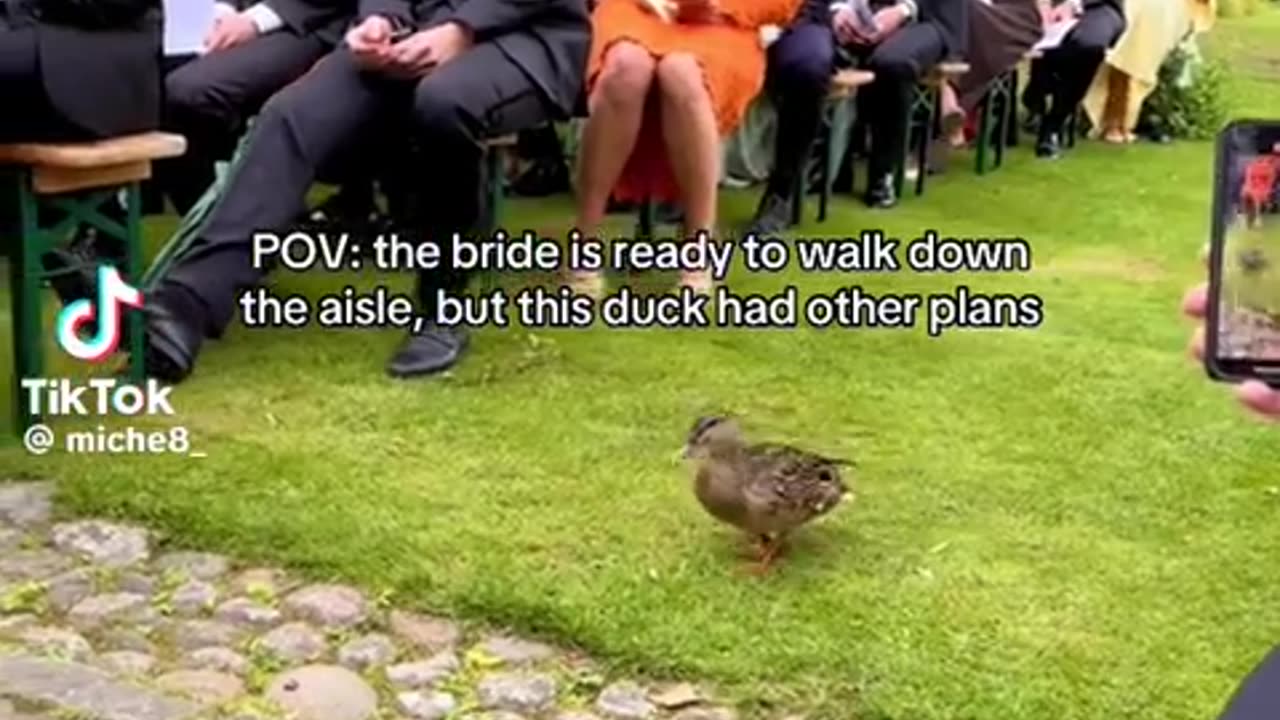 😂👰 You Won't Believe This Bride's Unexpected Look! | FunFM