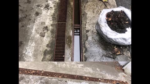 Double D Sewers and Drain